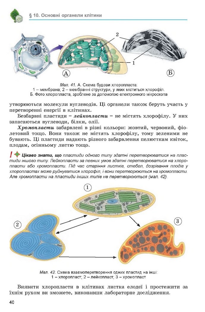 Підручник Біологія 6 клас Остапченко