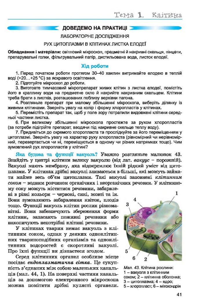 Підручник Біологія 6 клас Остапченко