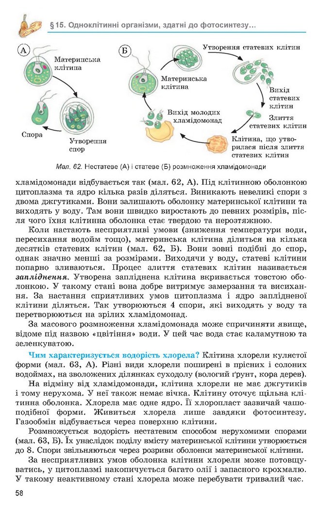 Підручник Біологія 6 клас Остапченко