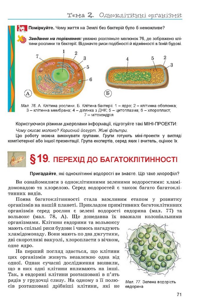 Підручник Біологія 6 клас Остапченко