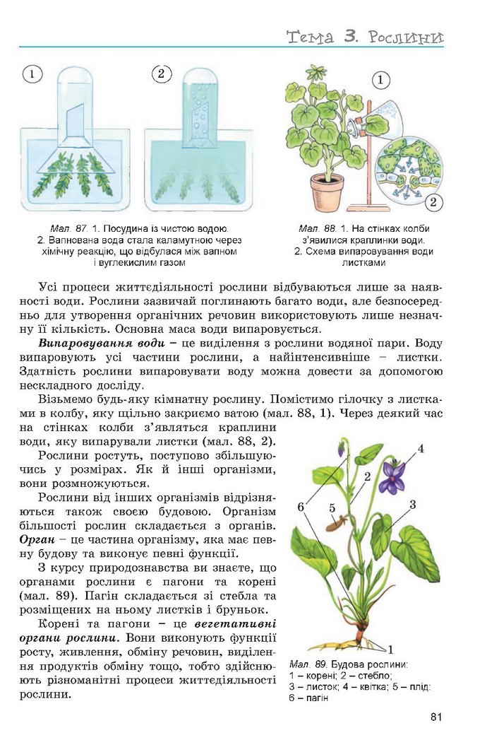 Підручник Біологія 6 клас Остапченко