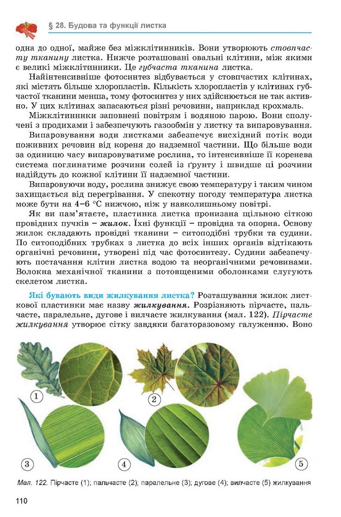 Підручник Біологія 6 клас Остапченко