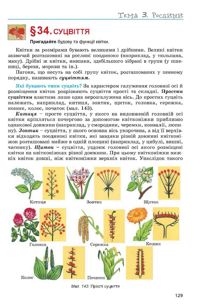 Підручник Біологія 6 клас Остапченко