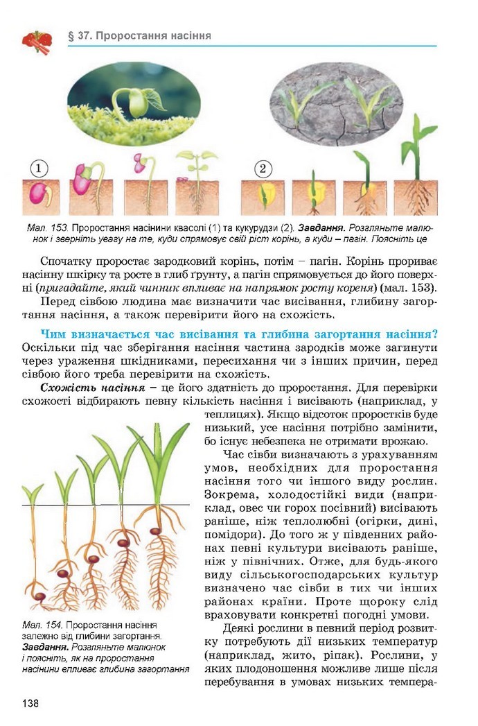 Підручник Біологія 6 клас Остапченко