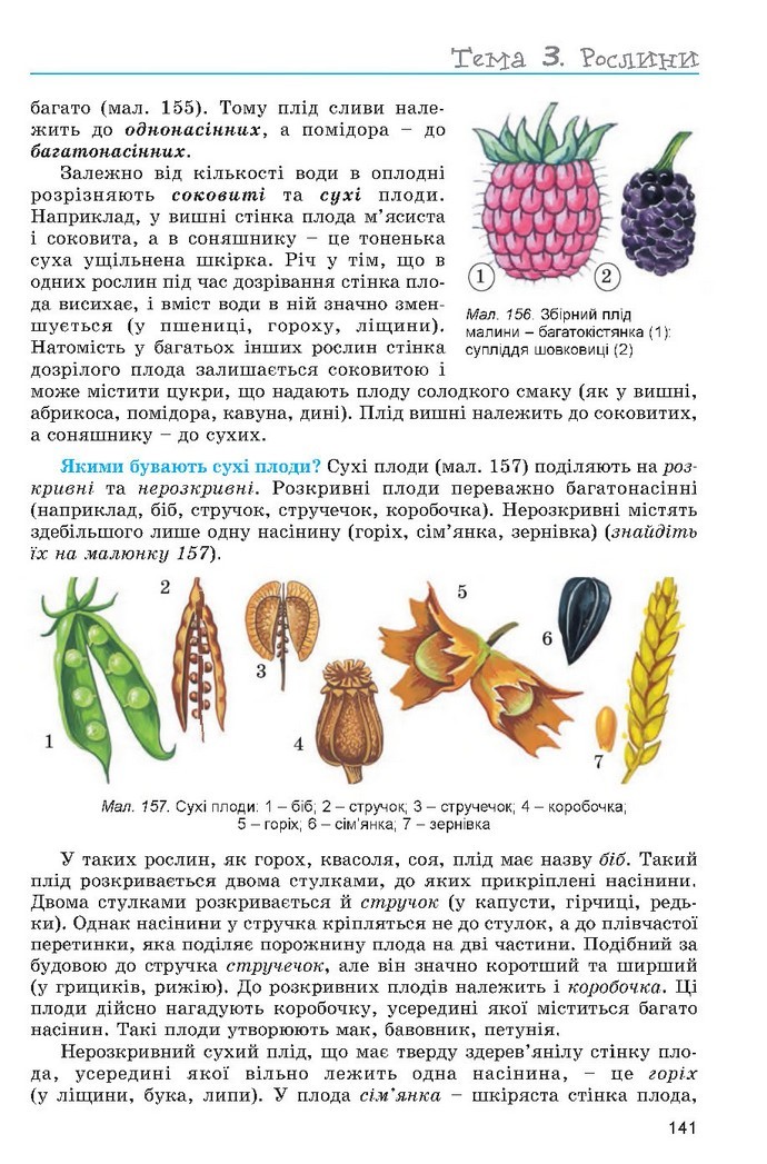 Підручник Біологія 6 клас Остапченко