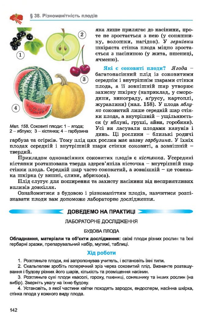 Підручник Біологія 6 клас Остапченко