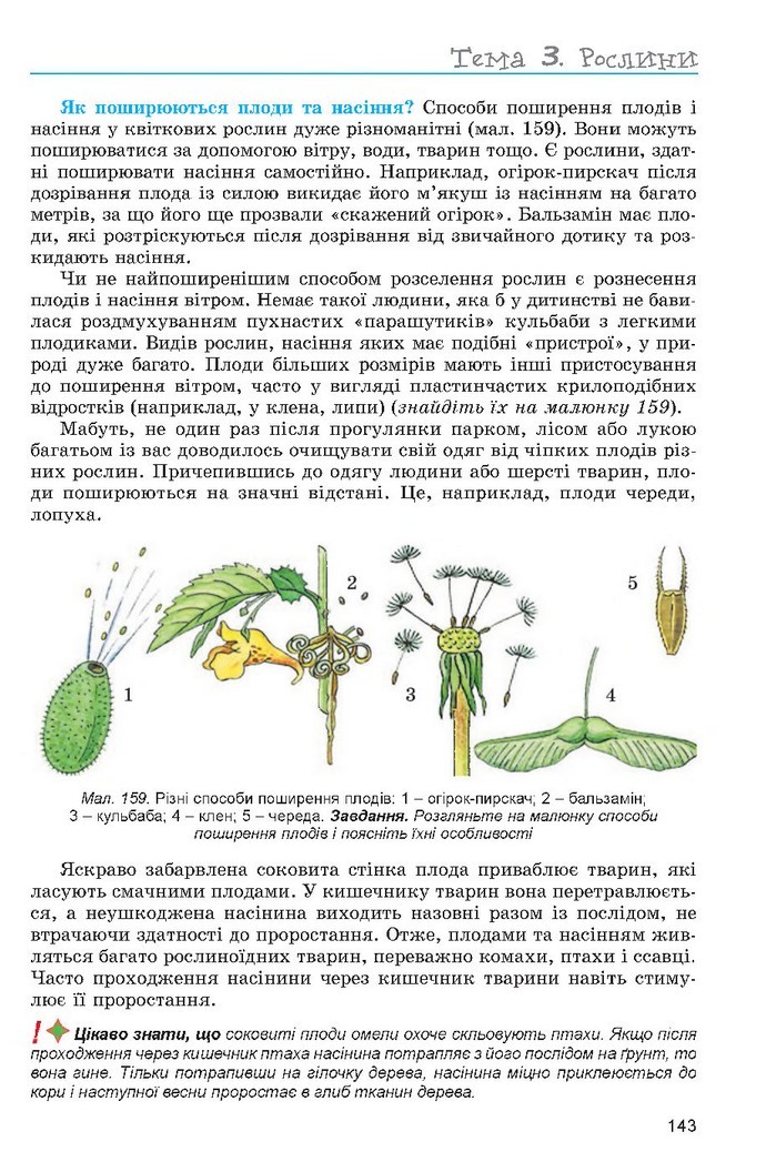 Підручник Біологія 6 клас Остапченко