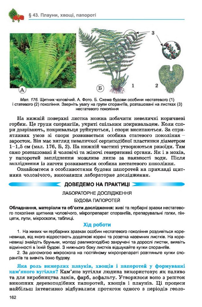 Підручник Біологія 6 клас Остапченко