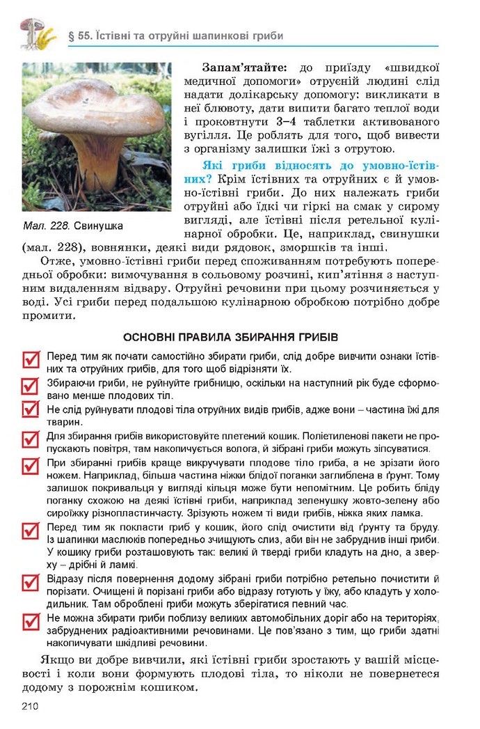 Підручник Біологія 6 клас Остапченко