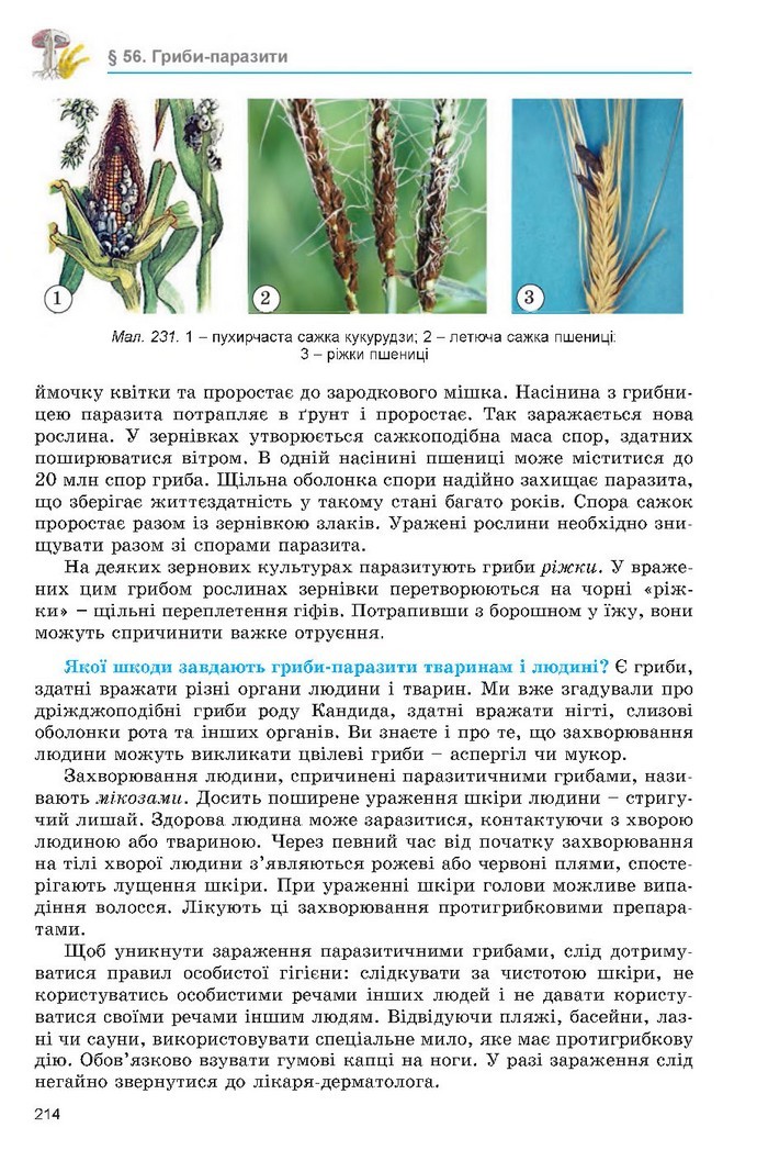 Підручник Біологія 6 клас Остапченко