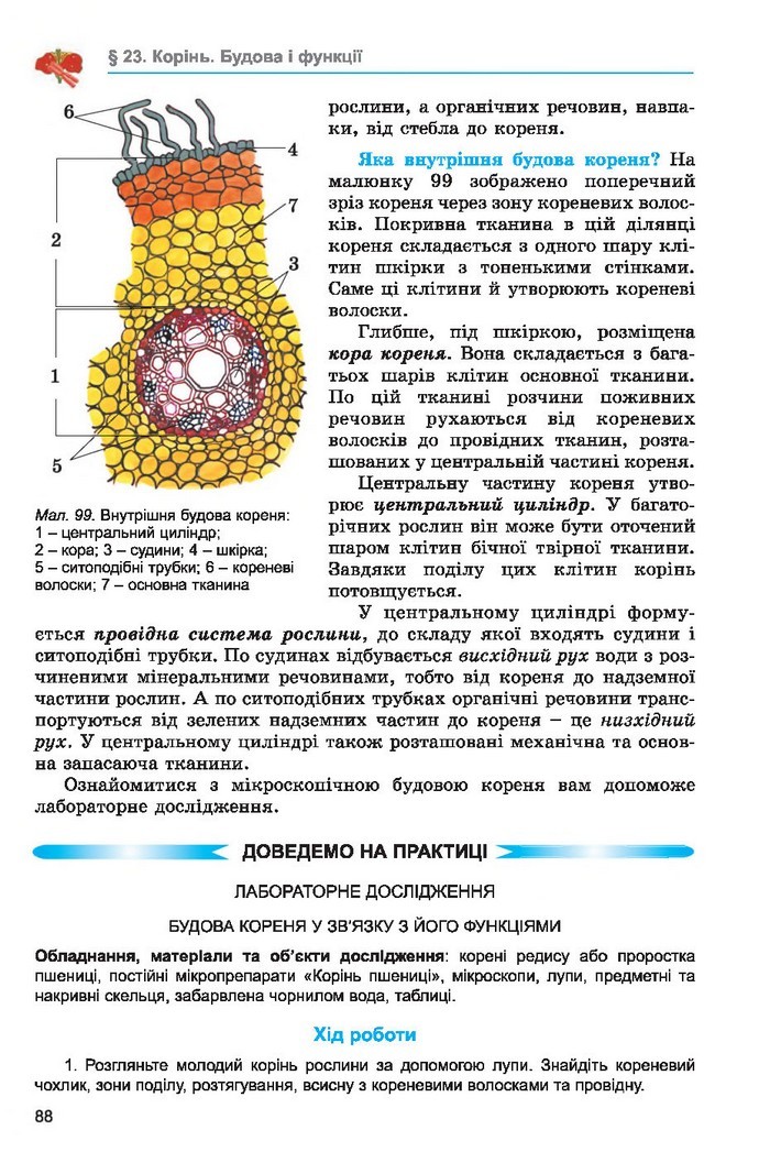 Підручник Біологія 6 клас Остапченко