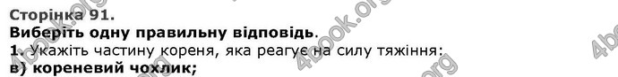 Відповіді Біологія 6 клас Остапченко. ГДЗ