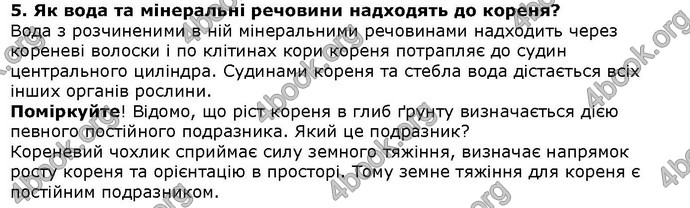 Відповіді Біологія 6 клас Остапченко. ГДЗ