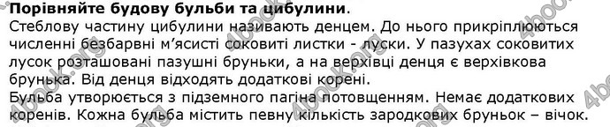 Відповіді Біологія 6 клас Остапченко. ГДЗ