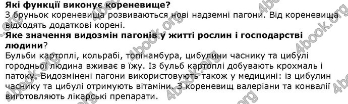 Відповіді Біологія 6 клас Остапченко. ГДЗ