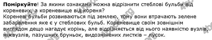 Відповіді Біологія 6 клас Остапченко. ГДЗ