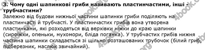 Відповіді Біологія 6 клас Остапченко. ГДЗ