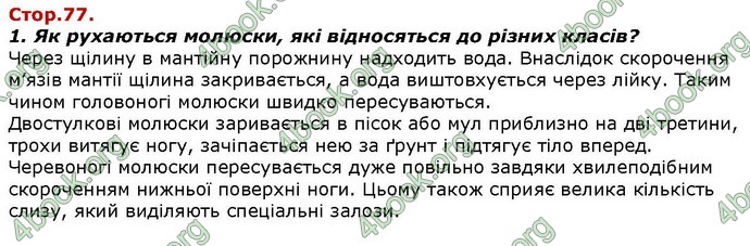 Відповіді Біологія 7 клас Костіков. ГДЗ