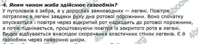 Відповіді Біологія 7 клас Костіков. ГДЗ