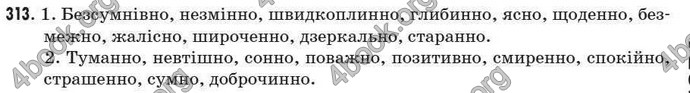 Відповіді Рідна мова 7 клас Пентилюк