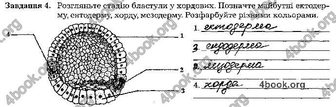 Відповіді Зошит Біологія 9 клас Мирна 2017. ГДЗ