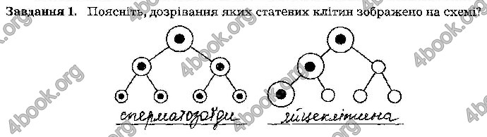 Відповіді Зошит Біологія 9 клас Мирна 2017. ГДЗ