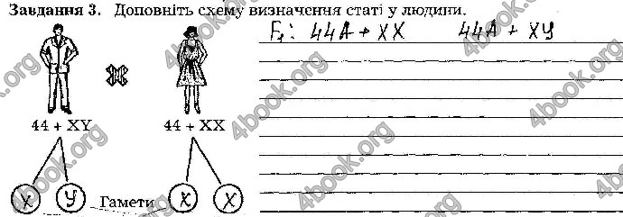 Відповіді Зошит Біологія 9 клас Мирна 2017. ГДЗ