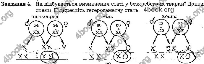 Відповіді Зошит Біологія 9 клас Мирна 2017. ГДЗ