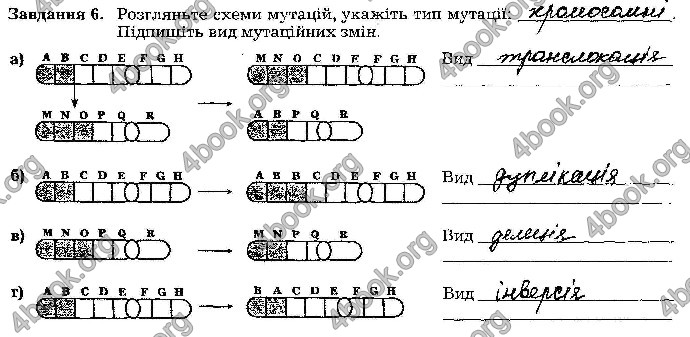 Відповіді Зошит Біологія 9 клас Мирна 2017. ГДЗ