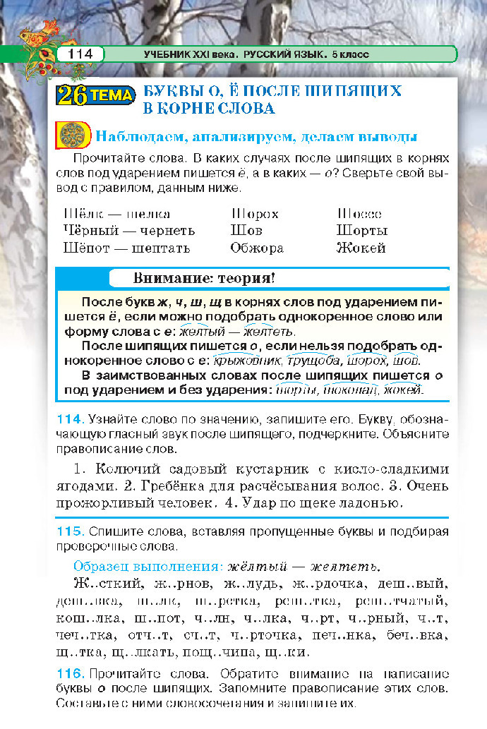 Русский язык 5 класс Давидюк 2018