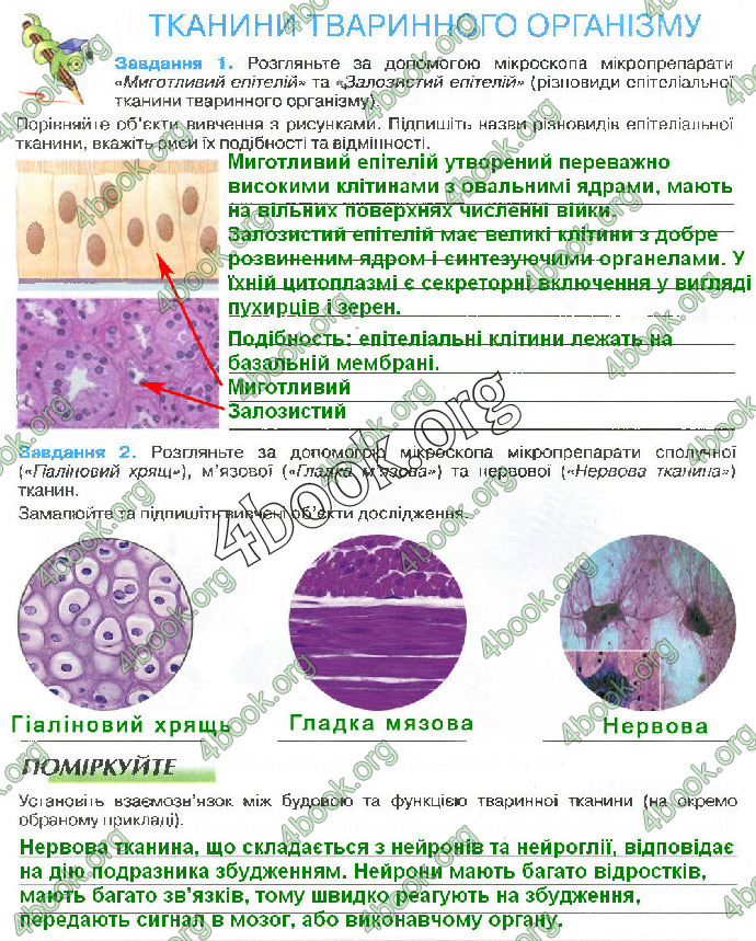 Решебник Зошит біологія 10 клас Андерсон 2018. ГДЗ