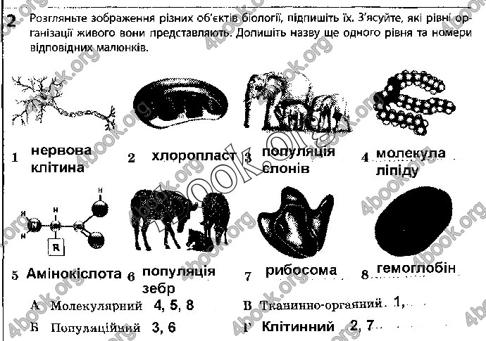 Решебник Зошит Біологія 10 клас Задорожний 2018 (Станд.)