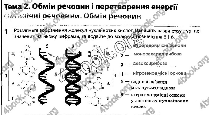 Решебник Зошит Біологія 10 клас Задорожний 2018 (Станд.)