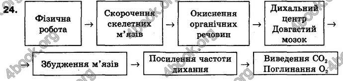 Відповіді Біологія 8 клас Матяш 2016. ГДЗ