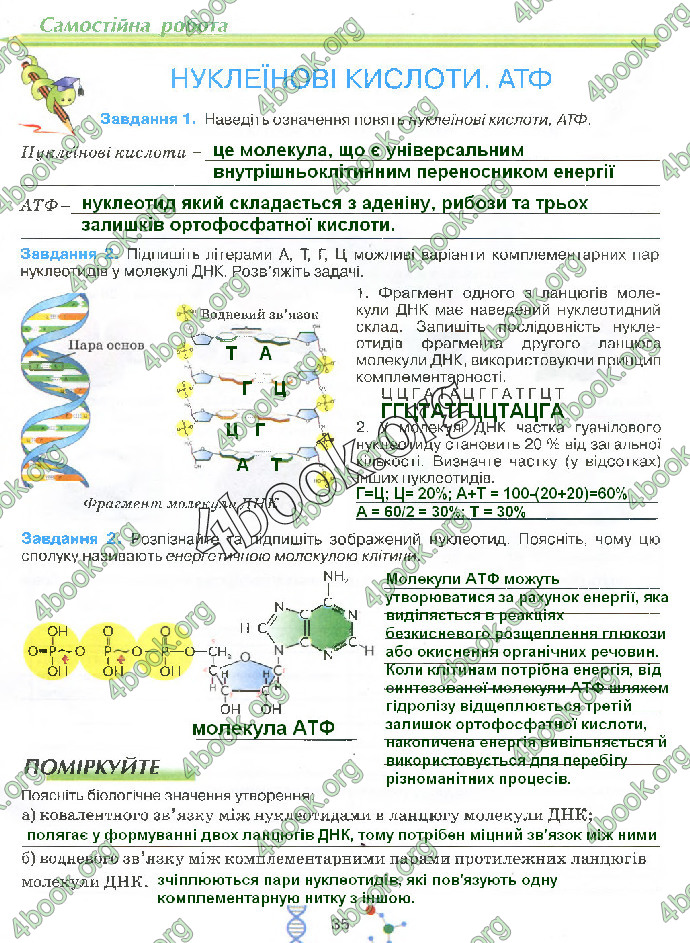 Решебник Зошит біологія 10 клас Андерсон 2018. ГДЗ