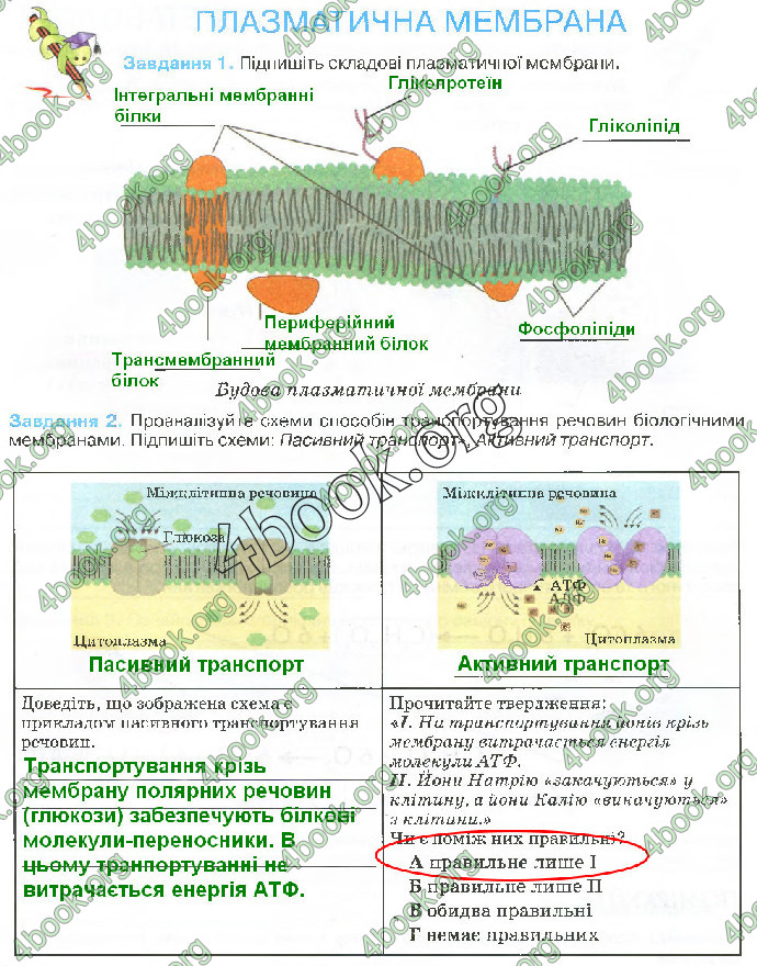 Решебник Зошит біологія 10 клас Андерсон 2018. ГДЗ
