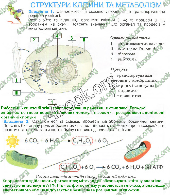 Решебник Зошит біологія 10 клас Андерсон 2018. ГДЗ