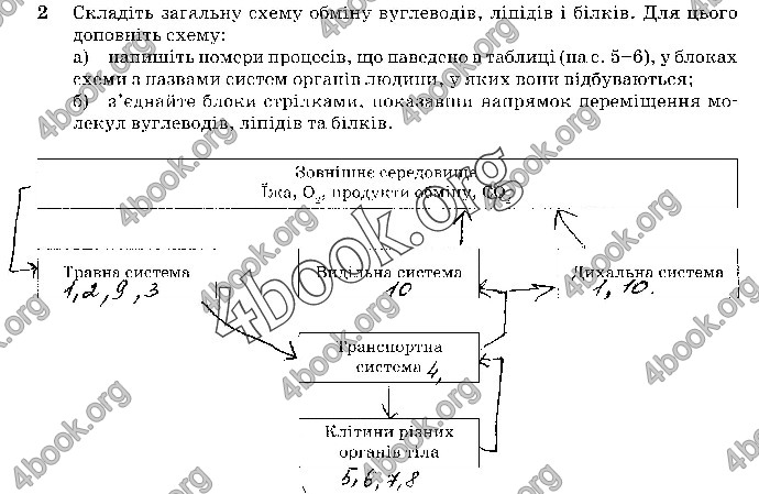 Решебник Зошит Біологія 10 клас Задорожний 2018 (Станд.)