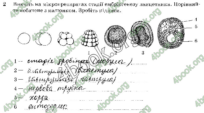 Решебник Зошит Біологія 10 клас Задорожний 2018 (Станд.)