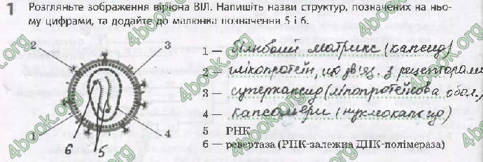 Решебник Зошит Біологія 10 клас Задорожний 2018 (Станд.)