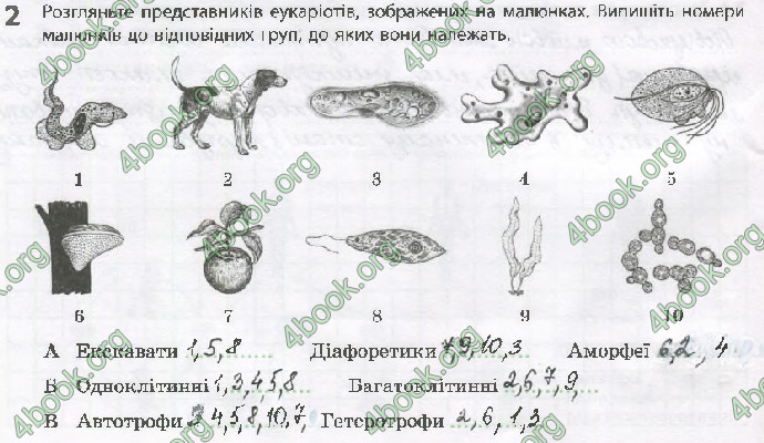 Решебник Зошит Біологія 10 клас Задорожний 2018 (Станд.)