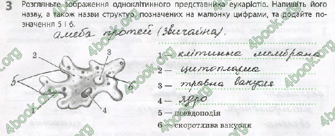 Решебник Зошит Біологія 10 клас Задорожний 2018 (Станд.)