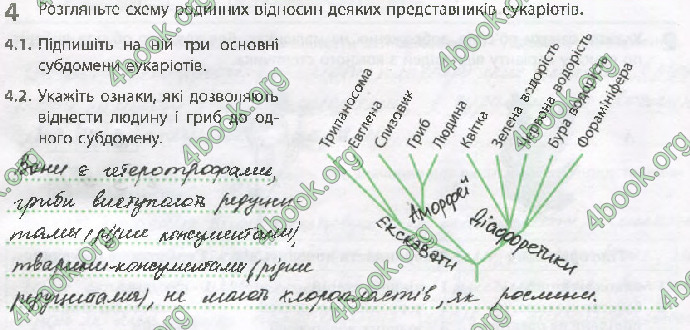 Решебник Зошит Біологія 10 клас Задорожний 2018 (Станд.)