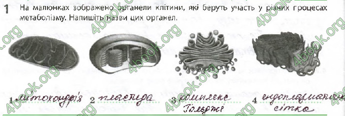 Решебник Зошит Біологія 10 клас Задорожний 2018 (Станд.)