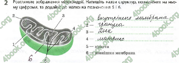 Решебник Зошит Біологія 10 клас Задорожний 2018 (Станд.)