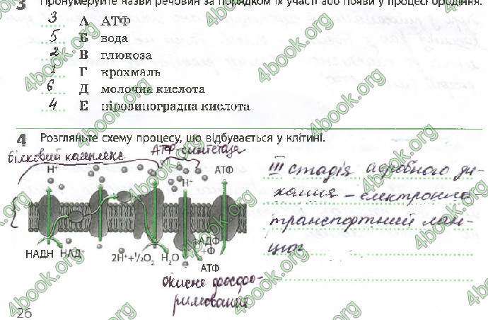 Решебник Зошит Біологія 10 клас Задорожний 2018 (Станд.)