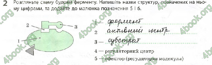 Решебник Зошит Біологія 10 клас Задорожний 2018 (Станд.)