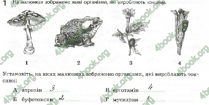 Решебник Зошит Біологія 10 клас Задорожний 2018 (Станд.)