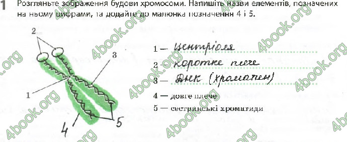 Решебник Зошит Біологія 10 клас Задорожний 2018 (Станд.)