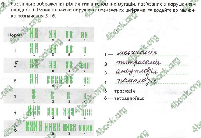 Решебник Зошит Біологія 10 клас Задорожний 2018 (Станд.)